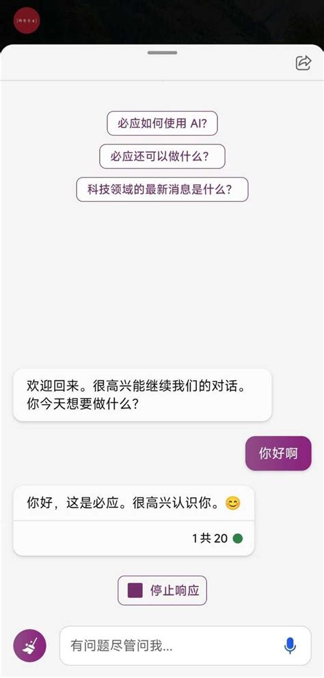 Bing Fail 的图像结果