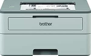 Amazon.in: Buy Brother HL-B2000D Mono Laser Printer with Auto Duplex ...