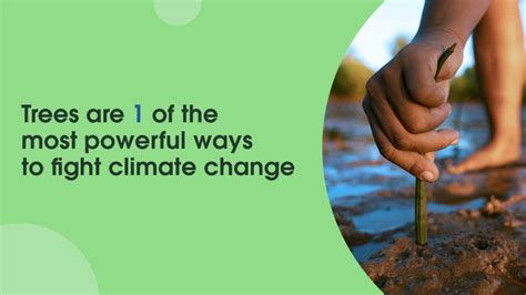 Salesforce Accelerates Fight Against Climate Change with New Trees ...