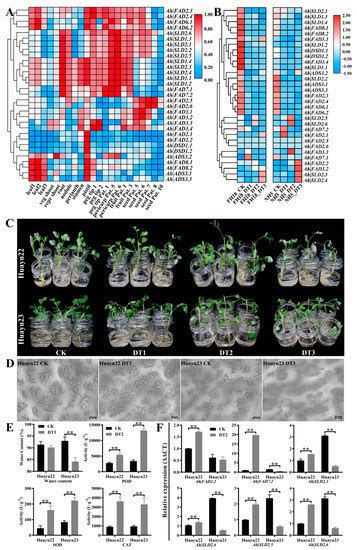 Genome-Wide Identification of Membrane-Bound Fatty Acid Desaturase ...
