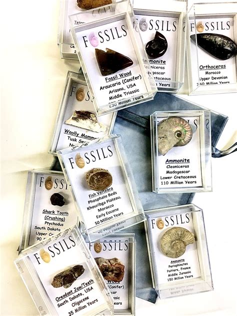 Fossil Ridge Band Calendar - Printable Word Searches