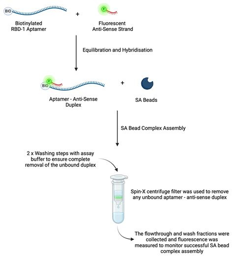 Enhancing Target Detection: A Fluorescence-Based Streptavidin-Bead ...