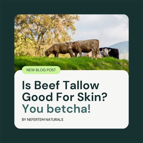 Unveiling the Science: The Benefits of Beef Tallow for Skin - Nefertem