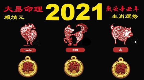 2021年12生肖综合运势，属猴·虎·鼠的人整体运势排前三名！