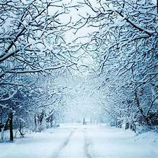 Snow Backdrop by Snow 10 X10 Cp Backdrop Computer Printed Scenic Snow Backdrop