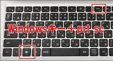 Image result for Pony Programming Code Examples