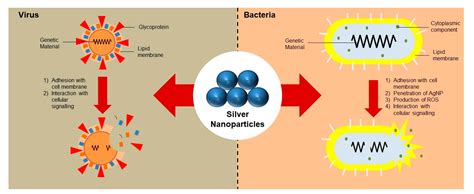 Polysaccharide-Based Nanocomposites for Food Packaging Applications