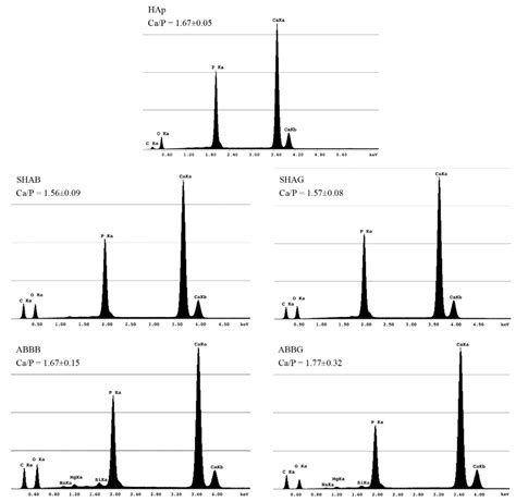 Three-Dimensional Bone Substitutes for Oral and Maxillofacial Surgery ...