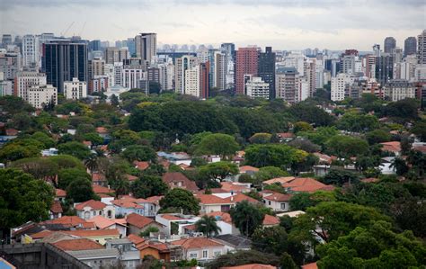 Concrete Jungle Movie 2009