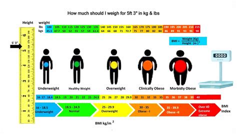 Height Weight Chart Male Calculator at Frank Hamlin blog