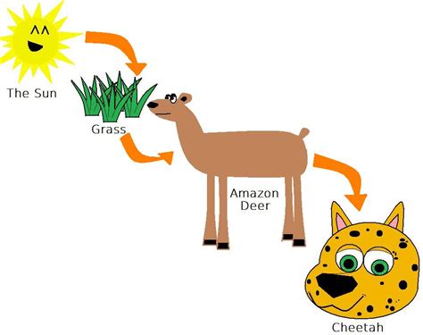 Examples of Energy Flow 的图像结果