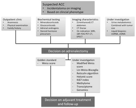 How to Differentiate Benign from Malignant Adrenocortical Tumors?