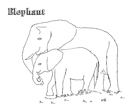 Free Printable Elephant Coloring Pages For Kids