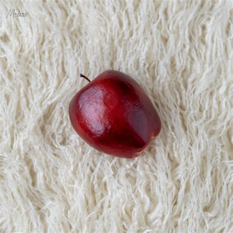 Fruits (Set Of 3) – Madras Prop Store