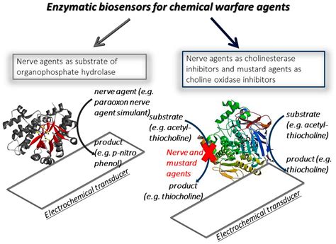 Nanomaterials and Cross-Cutting Technologies for Fostering Smart ...