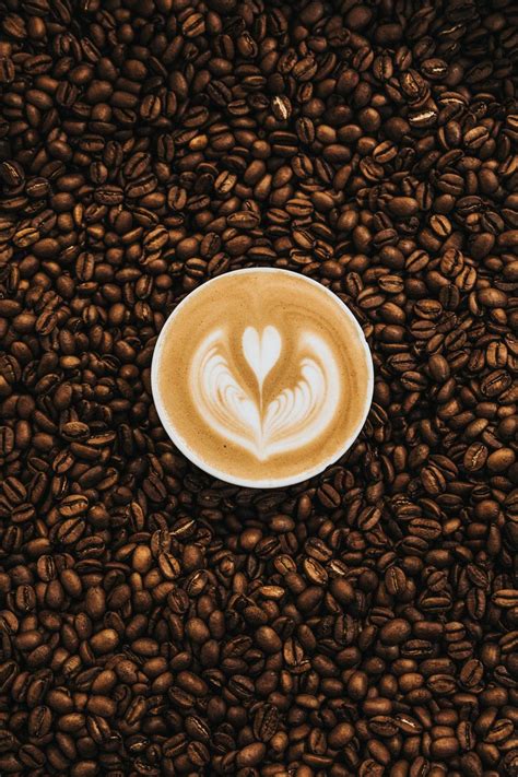 Image result for Coffee Machine Project in Python