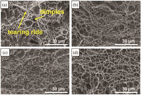 Precipitation Behavior of Carbides and Its Effect on the Microstructure ...
