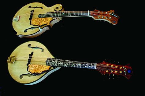 The Intricate Art of Guitar Making: Sidney luthiers share the tricks of ...