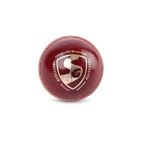 SG Test™ Cricket Leather Ball – TeamSG
