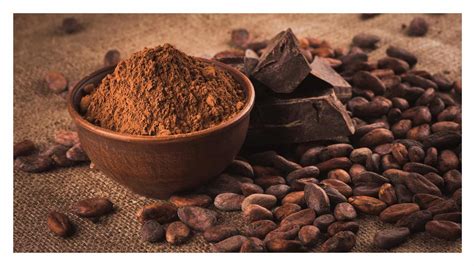 Best Cocoa Powder Substitutes - Little Frugal Homestead