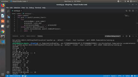 Process Example Python 的图像结果