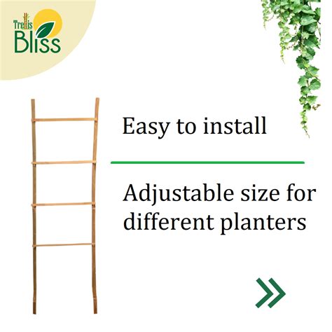 Trellis Bliss Bamboo H-Trellis – trellisblissindia