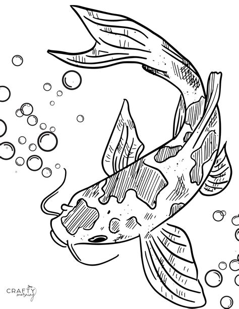 Printable Fish Coloring Pages [2025]