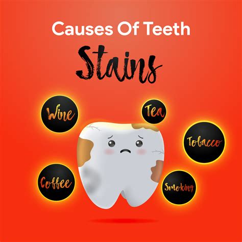 Buy Anti-Stain Expert Toothpaste for Stain Removal & Teeth Whitening