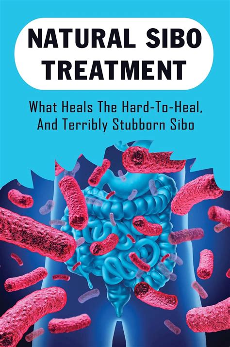Natural Sibo Treatment: What Heals The Hard-To-Heal, And Terribly ...