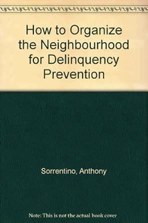 Buy How to Organize the Neighbourhood for Delinquency Prevention Book ...