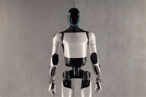 Tesla Robot 的图像结果