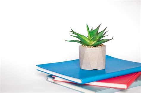 Cadernos e planta de escritório em um fundo branco closeup | Foto Grátis