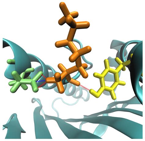 Usefulness of Docking and Molecular Dynamics in Selecting Tumor ...