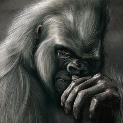 ShishirPatilgorilla