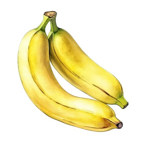 Banana Watercolor Art at Samantha Hanlon blog