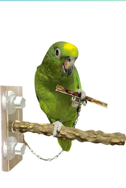 Brand: Dorakitten Dorakitten Bird Perch Portable Suction Cup Wood Bird ...