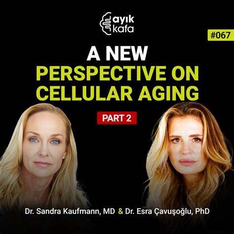 Cellular Aging 的图像结果