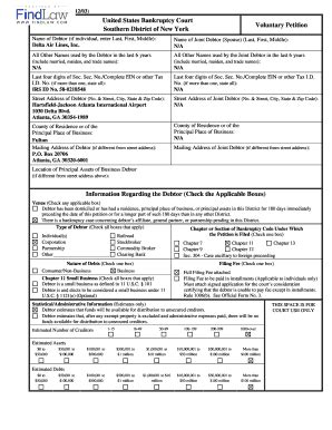 US Bankruptcy Court Voluntary Petition - Blank Fillable Template | Fill ...