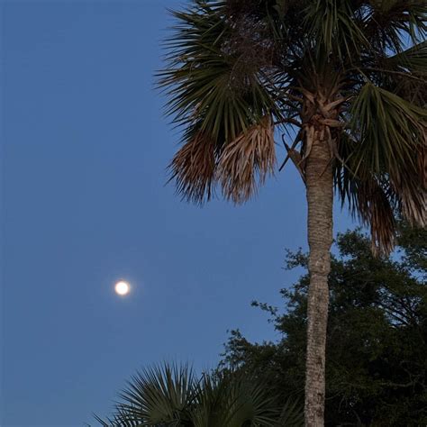 Indian Pass Campground | Port St. Joe, Florida