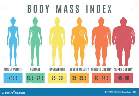 Body fat calculator women - mainbabe