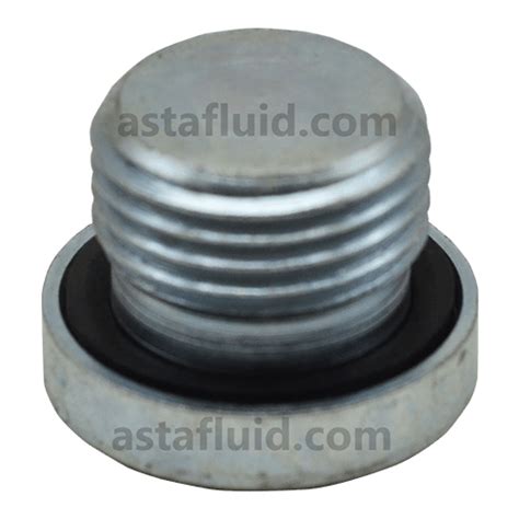 Socket Head Plug, VSTIG02E, 1/4" BSP- HYLOC – astafluid
