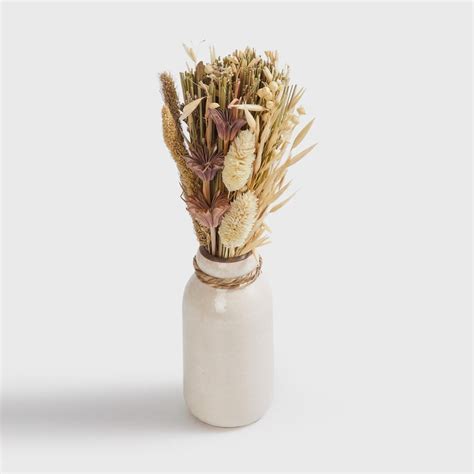 Buy Corsica Eden Dried Flower Arrangement in Ceramic Pot from Corsica ...