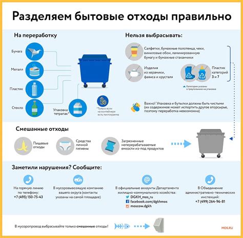 Ноль отходов: как легко организовать сортировку мусора дома | РБК ...