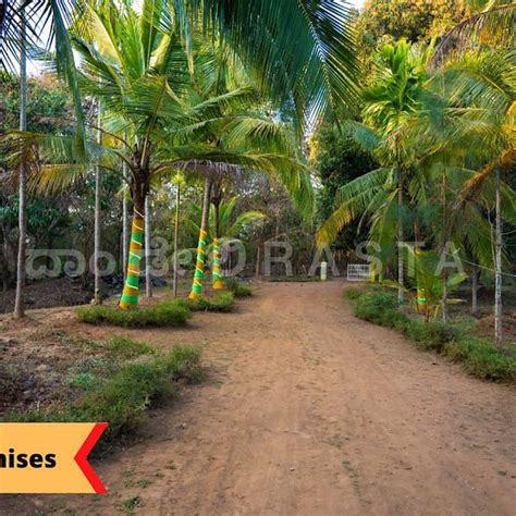 Kali River (Dandeli) - All You Need to Know BEFORE You Go