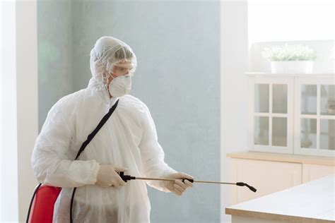 Mice Control in Royal Oak, MI | Maple Lane Pest Control