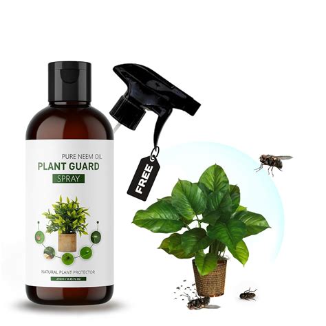 Water-Soluble Neem Oil 250 ml with Free Spray Gun|Concentrate for ...