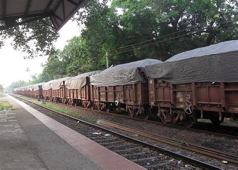 Cargo Handling Services - Shreeji Shipping Global Limited