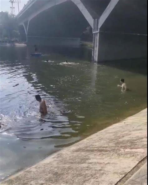 河南南阳女子带两娃跳河被救起，当地：三人已交家属，妇联正了解情况_社旗县_群众_视频
