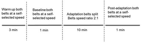 Split-Belt Treadmill Training Improves Mechanical Energetics and ...