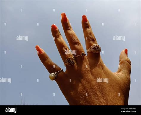 5 in Sign Language 的图像结果